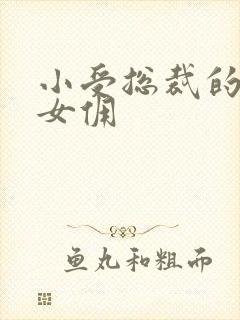 小受总裁的野蛮女佣