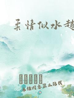 柔情似水赵雅儿