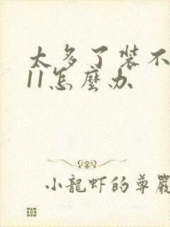 太多了装不下h11怎么办