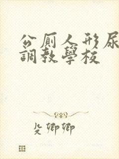 公厕人形尿便器调教学校