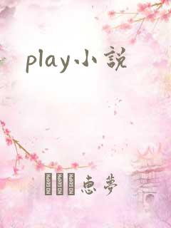 play小说