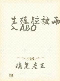 生殖腔被两根进入ABO