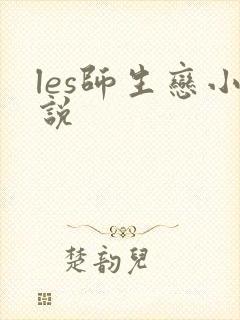 les师生恋小说