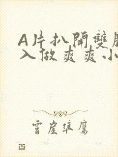 A片扒开双腿进入做爽爽小说