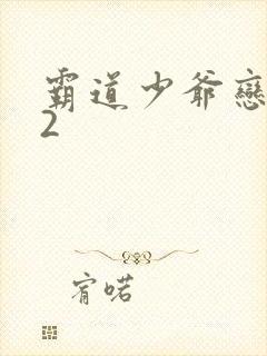 霸道少爷恋上我2