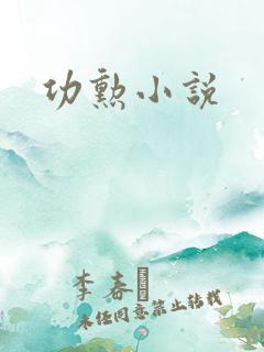 功勋小说