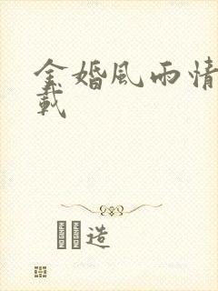 金婚风雨情 下载