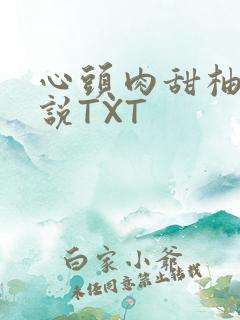 心头肉甜柚子小说TXT