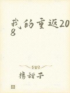 我的重返2008