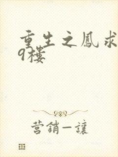 重生之凤求凰19楼