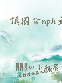 镇国公nph文