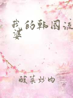 我的韩国流氓老婆