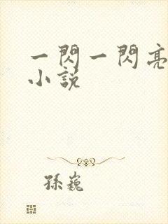 一闪一闪亮晶晶小说