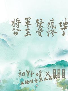 将军发疯地撞着公主爱惨了公主