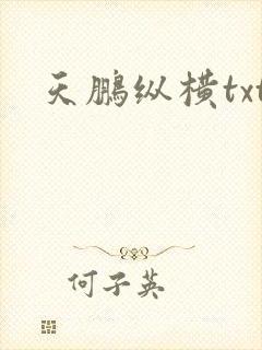 天鹏纵横txt