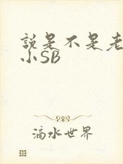 说是不是老公的小SB