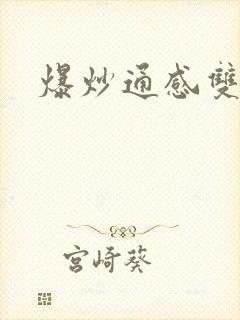 爆炒通感双胞胎