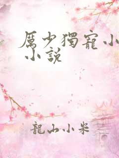 厉少独宠小娇妻 小说