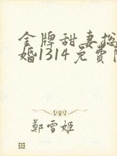 金牌甜妻总裁宠婚1314免费阅读