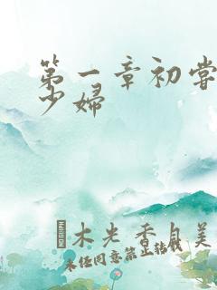 第一章初尝云雨少妇