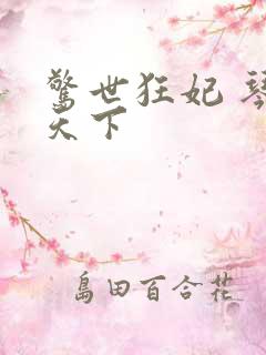 惊世狂妃 琴战天下