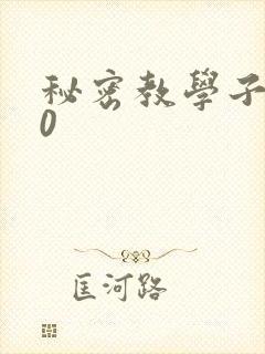 秘密教学子豪40