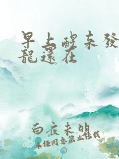 早上醒来发现巨龙还在