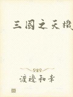 三国之天机军师