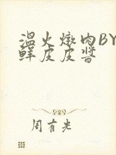 温火炖肉BY海鲜皮皮酱