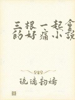 三根一起会坏掉的好痛小说