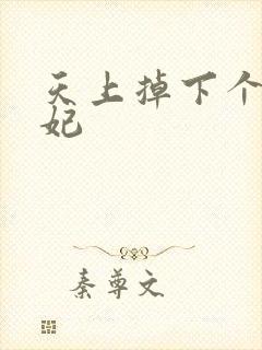 天上掉下个奇王妃