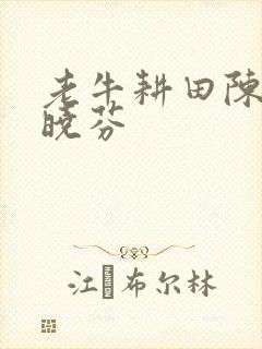 老牛耕田陈雪杨晓芬