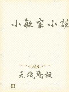小敏家小说