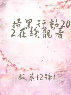 扫黑行动2022在线观看