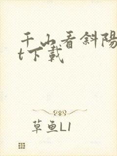 千山看斜阳txt下载