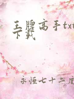 王牌高手txt下载