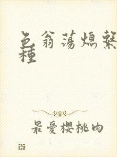 色翁荡熄系列借种