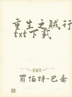 重生之贼行天下 txt下载