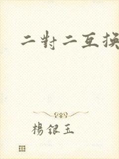 二对二互换共享