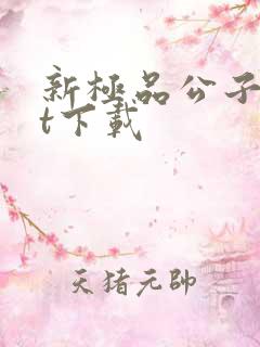 新极品公子txt下载