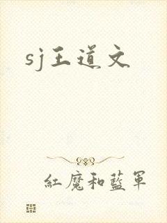 sj王道文