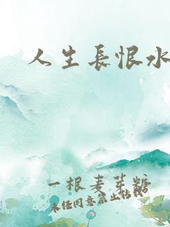 人生长恨水长东
