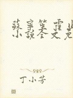 苏宁笙 霍止行小说全文免费阅读