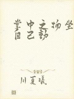 掌中之物坐上来自己动