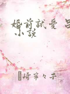 婚前试爱 吕颜 小说