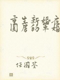 重生新婚夜正在圆房的军婚小说