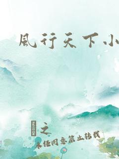 风行天下小说