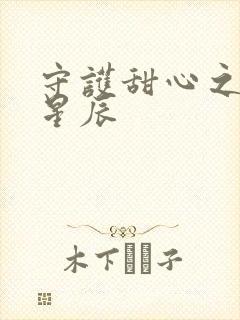 守护甜心之暗夜星辰