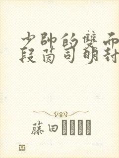 少帅的双面宠妻段茵司明封免费