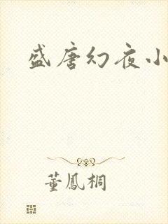盛唐幻夜小说